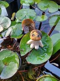 Sayaka Iwashimizu.jpg