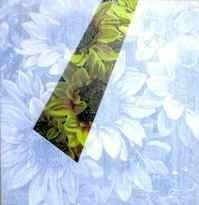 Taisuke Morishita2.jpg