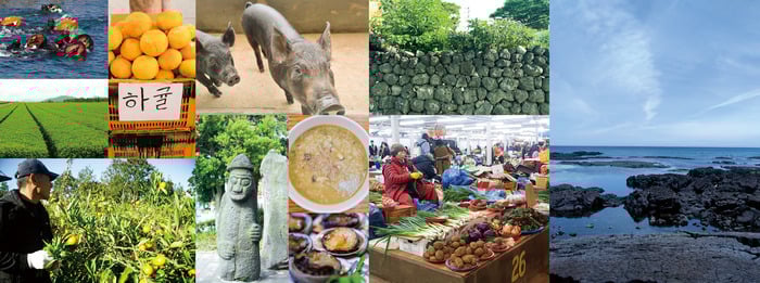 d jeju teishoku report.jpg