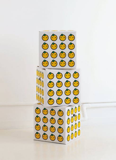 kinpachi box_2023.jpg