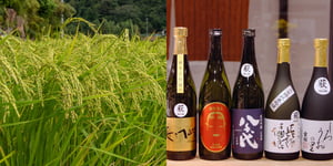 mononihawamawarigaaru yamaguchi.jpg