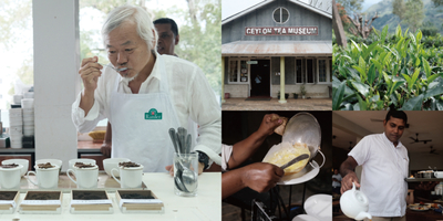 musica morning2023.jpg