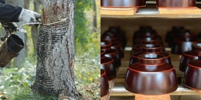 shikki tekiseisha.jpg