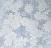 taisuke morishita.jpg