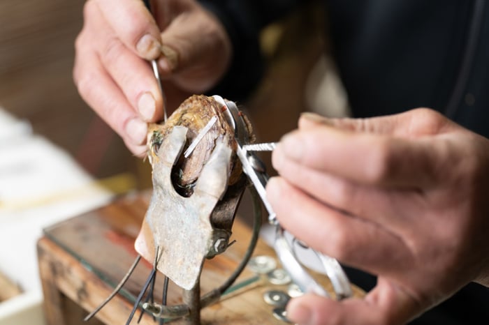 yashima prof image.jpg