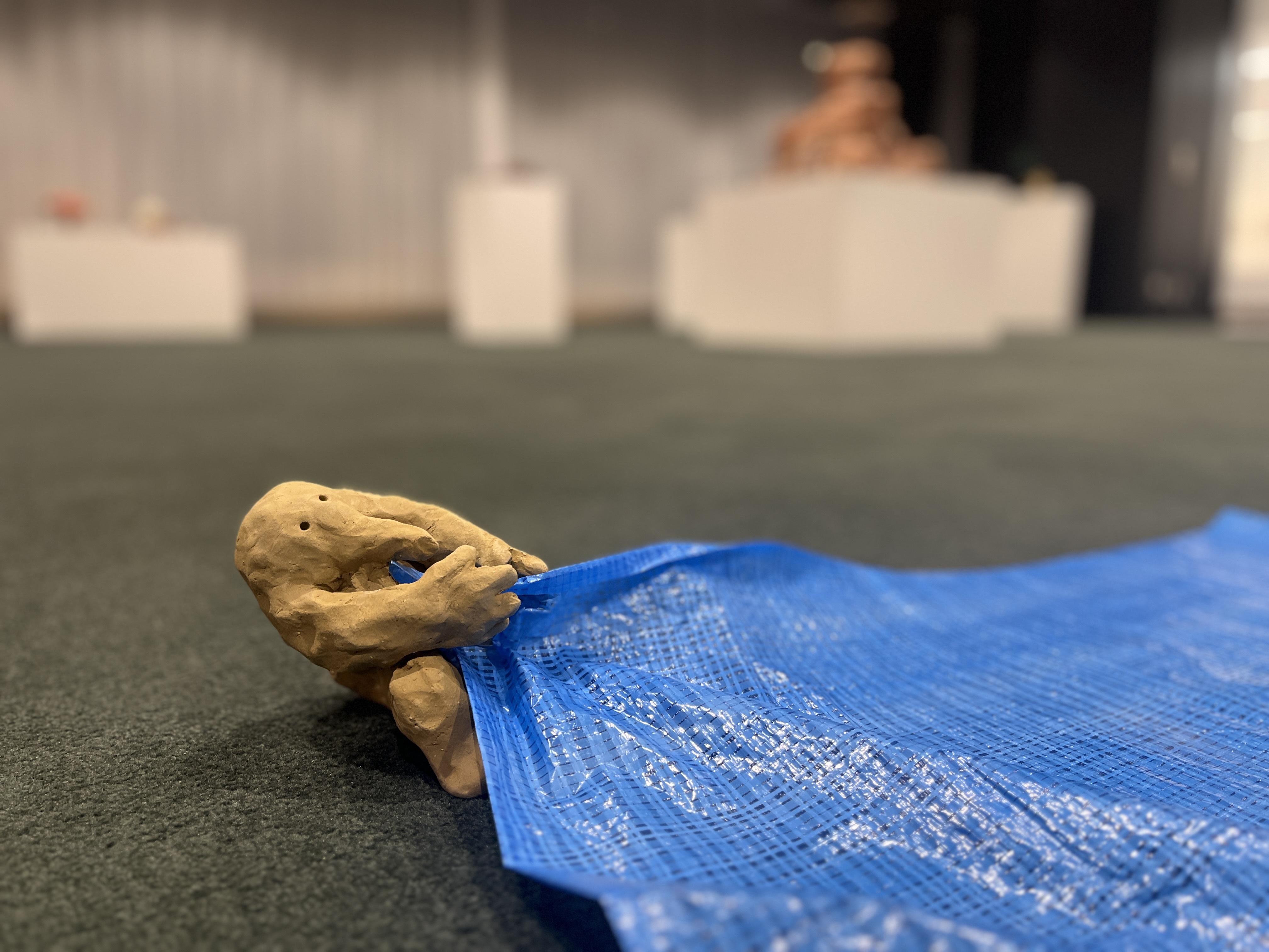 「みんなの庭」 平山匠個展